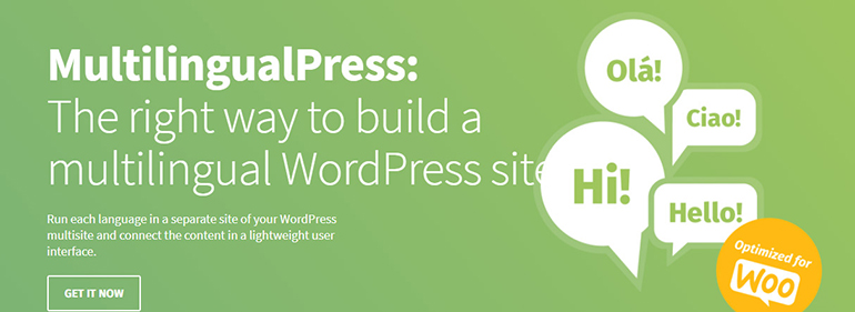 MultilingualPress-WordPress-Multilingual-Plugins