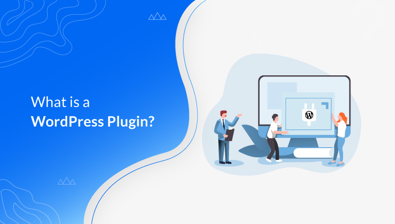 What is a WordPress Plugin Beginner's Guide