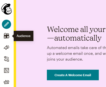Audience Icon MailChimp
