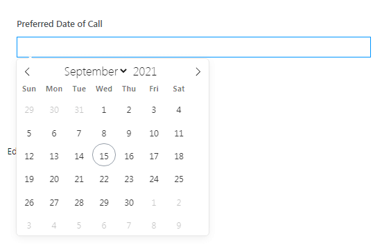 Date Picker Style