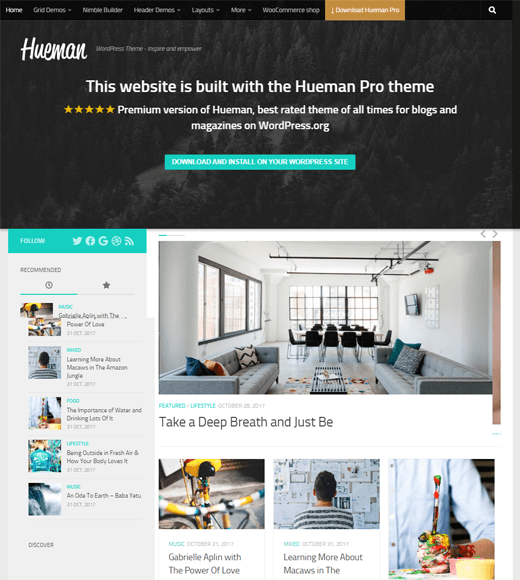 Hueman Versatile Magazine Theme