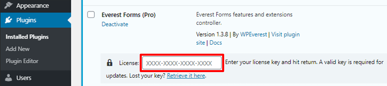 Paste License Key