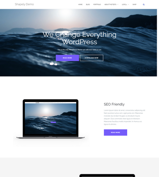 Shapely Free WordPress Landing Page Themes