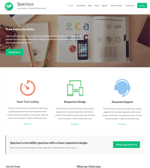 Spacious WordPress Theme